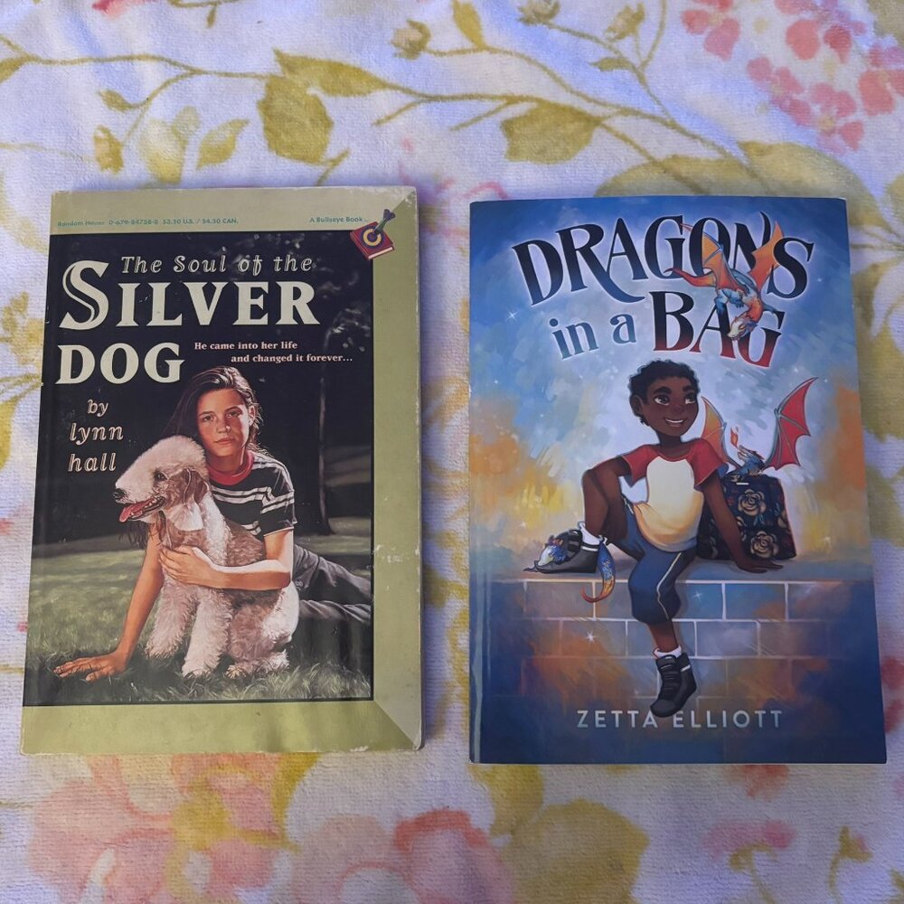 Two Pack of Young Adult Books - Dragons in a Bag and The Soul of the Silver Dog